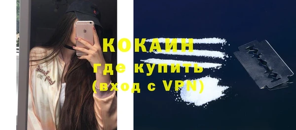 хмурый Абаза