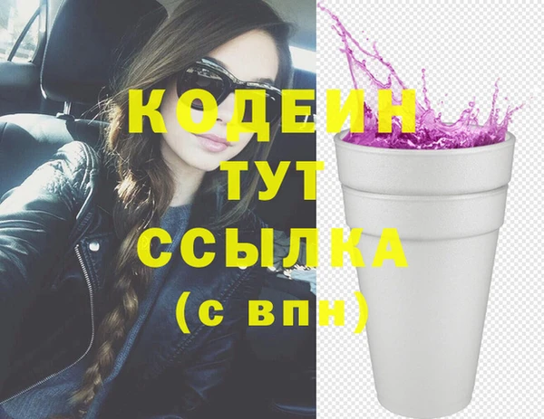 хмурый Абаза