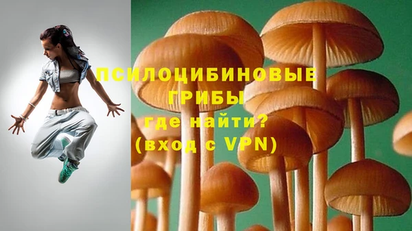 хмурый Абаза