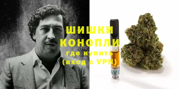 индика Зеленокумск